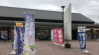 ウトナイ湖が一望