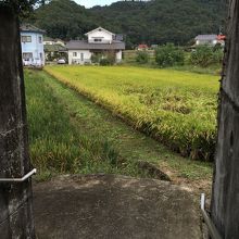 周りは一面田んぼ