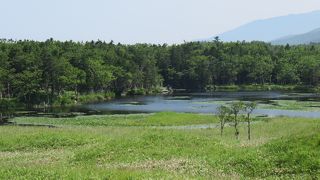 高架木道は・・・