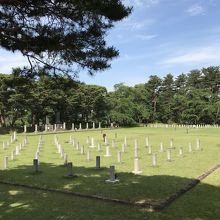 第五連隊のお墓