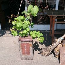 看板小さい…薪が目印