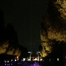 参道が紫色でライトアップされ、ちょっと不思議な雰囲気でした