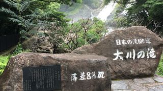 日帰り屋久島でも簡単に行けました。