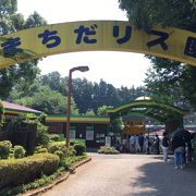 放し飼いリス広場のある動物園