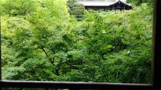 臥雲橋側から見る通天閣が美しい