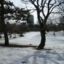 冬季、除雪されていない道は立ち入り禁止に