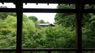 青紅葉の景色が爽やかでした