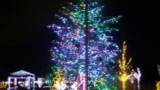 お食事もおいしいし、イルミネーションも素敵