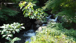 きれいな川の流れ
