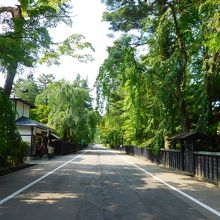 枝垂桜に囲まれた武家屋敷通り