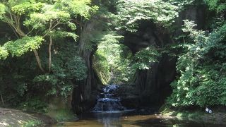 SNSの威力を実感します。SNSで有名になり、ますます多くの人々が訪れています。