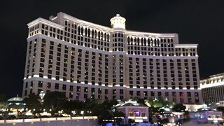 セリーヌディオンの曲にのせて