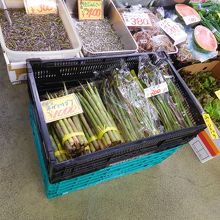 秋田市民市場のネマガリダケ