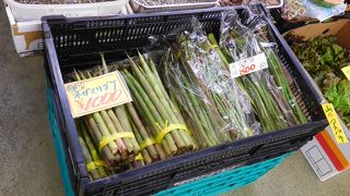 駅近の総合食品市場