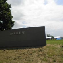 涼しい風が吹く