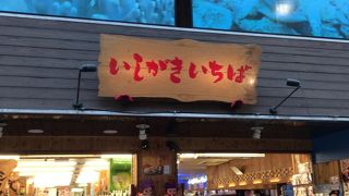 入り口の上にウミガメの写真がありました