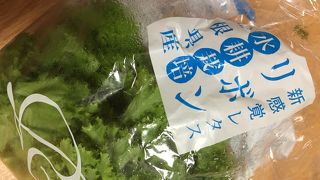 新鮮野菜が美味しかった