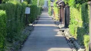 生垣が美しい武家屋敷の町並み