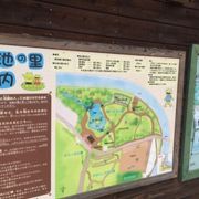 仙川沿いの公園