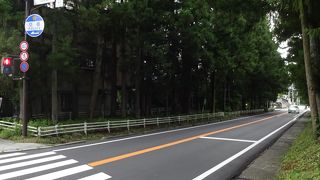 まさに日光のシンボル。