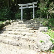 レンタサイクルで登った