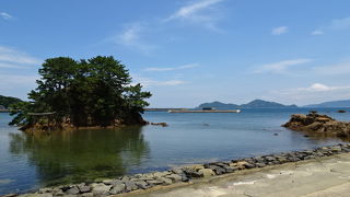 磯遊びもできる