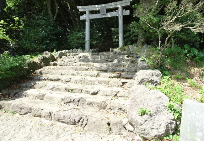 レンタサイクルで登った