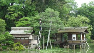 日本三名園のひとつ、兼六園