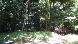 木々が茂っていますが・・・