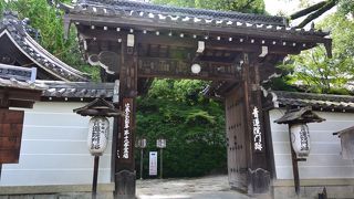 斬新な襖絵が見応えあります！