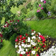 りんごがなってます