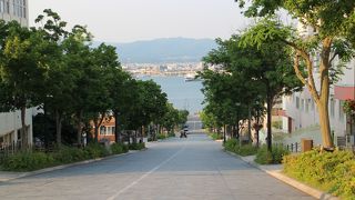 チャーミーグリーン