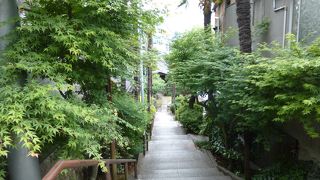 緑の小路を下っていくと、お堂があります