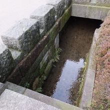 これ。小さいです。もちろんごく一部の保存。