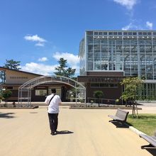 青島亜熱帯植物園