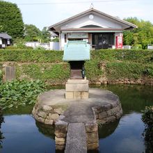 亀が住む池と納経所