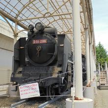 終点の郷土の森公園には蒸気機関車も