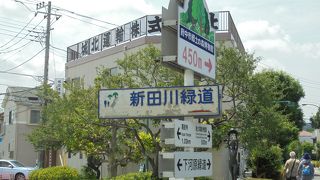 自然豊かな散歩道（新田川緑道）
