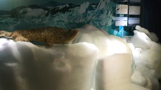 マイナス20度の世界