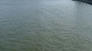 東京都と千葉県の境界