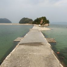 真宮島へは海の中の歩道を進みます。