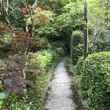 露天風呂への道。夜は真っ暗