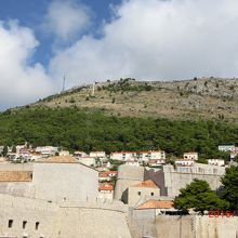 木が生えている所の上側