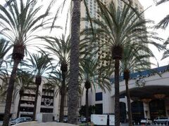 Manchester Grand Hyatt San Diego 写真