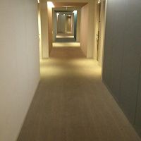 内廊下も素敵な空間