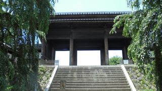 しだれ桜が有名（東郷寺）