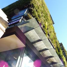 外壁緑化しています