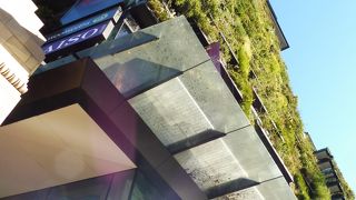 大きなＤＡＩＳＯが入っています