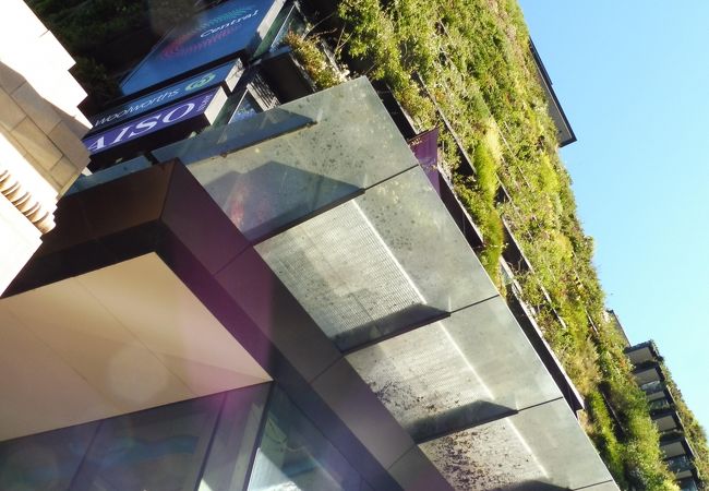 大きなＤＡＩＳＯが入っています