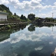 すごく綺麗な水